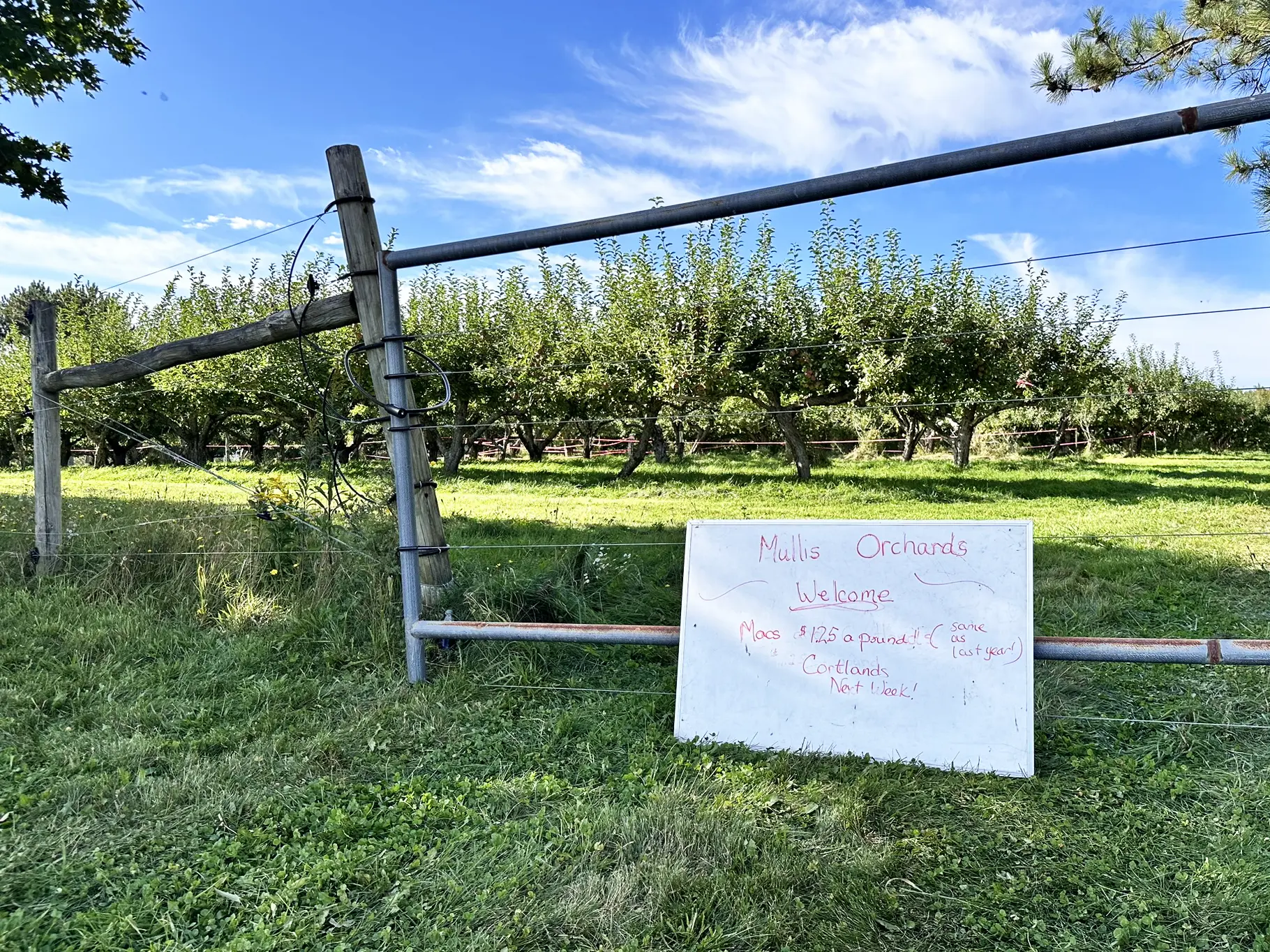 Our Orchard