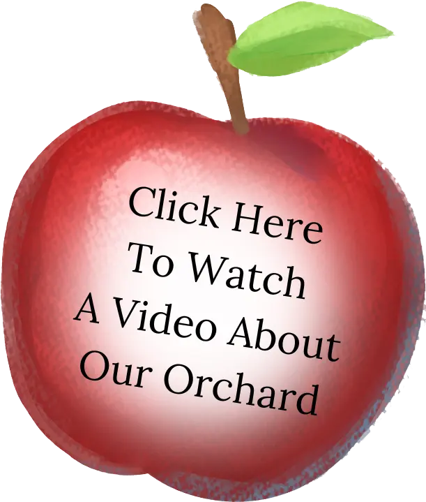 Click here to watch a video about an orchard